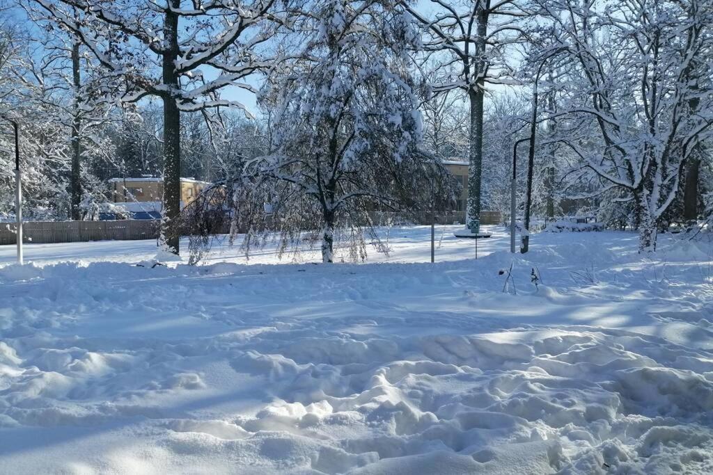 Nowoczesny Apartament W Puszczy Bialowieskiej Hajnówka Extérieur photo